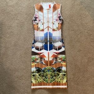 Clover Canyon Bodycon Dress